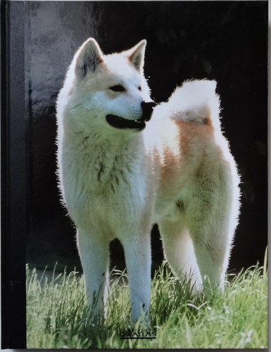 Mon compagnon chien - mon, aff