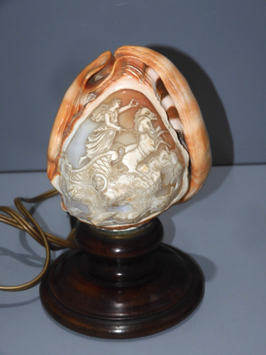 Belle lampe coquillage - lampe,