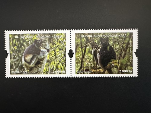 Madagascar madagaskar 2024 - madagascar,