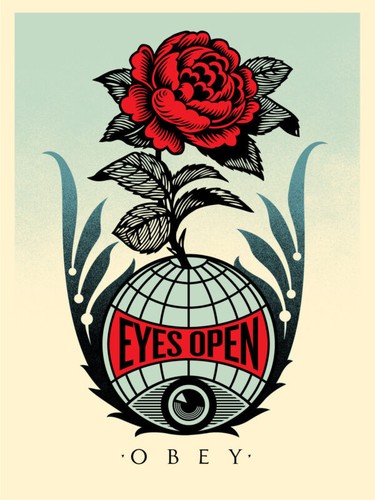 Eyes open 2020 shepard fairey - 2020,