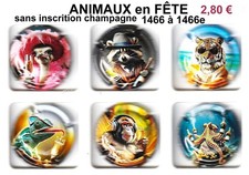 CAPSULES de CHAMPAGNE