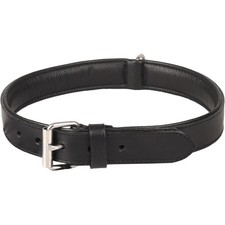 Collier Cuir XXL 52-61 cm ARIZONA noir   pour chien.