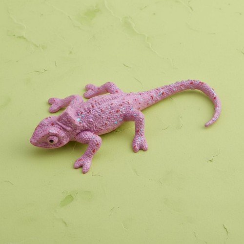 Pièces modèle iguane - 6, d'iguane