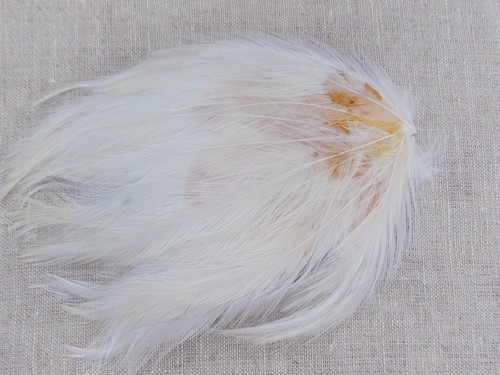 Ancienne plume chapeau modiste - chapeau,