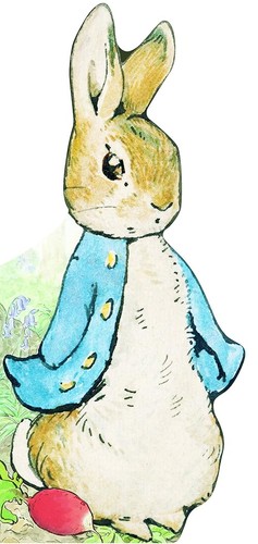 Bonjour pierre lapin - bonjour,,