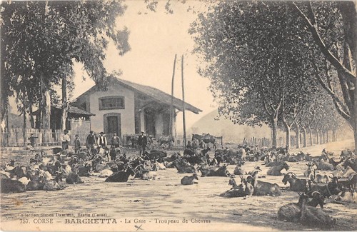 Cpa corse barchetta gare - 20,