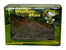 Vivarium Moss - 150 g de