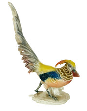  porcelaine polychrome