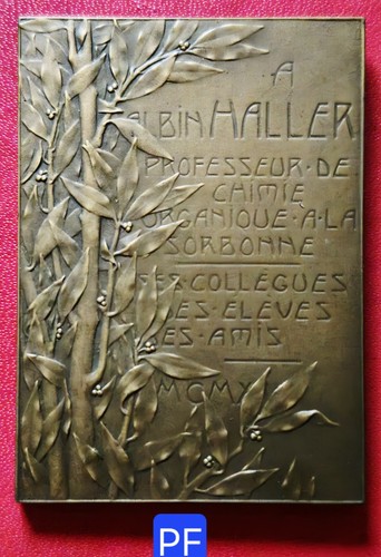 Belle plaque méd 68x49mm - belle, 68x49mm-