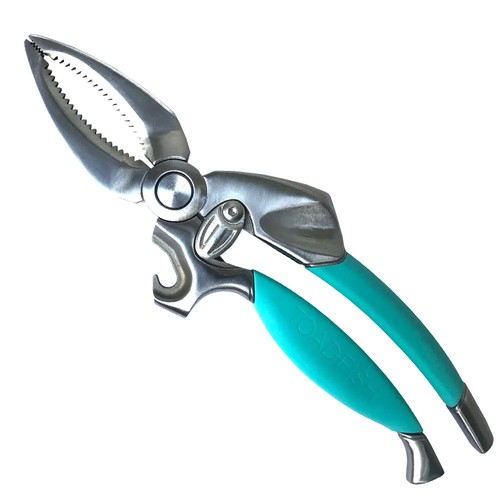 Toadfish crab claw cutter - crab,