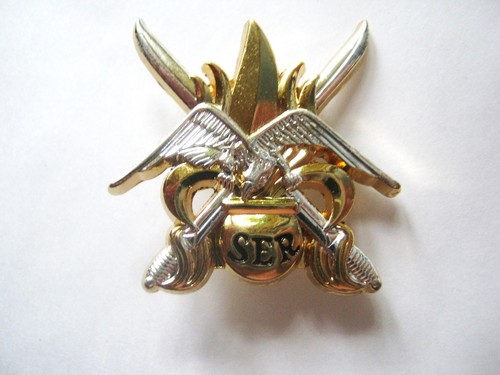Insigne des parachutistes - insigne,