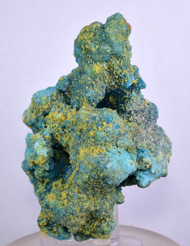 6cms chalcanthite - 8.6cms,