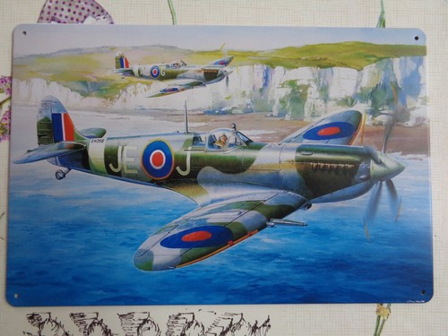 Tole metal avion - tole, chasse
