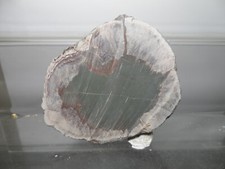 CRIS 30K DEMI LITHOPHYSE (NON POLIE)  AVEC REMPLISSAGE DE JASPE VERT FREJUS VAR