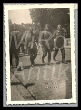 Photo, WW2, 342.I.D., France