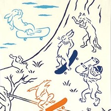 Tapisserie de coton Tenugui