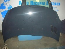 Capot PEUGEOT 206+ TU1AE5_HFV