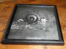 cadre photo Anne Geddes escargot bébé