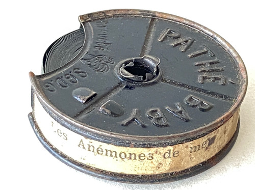 Film pathe baby 5mm anemones - pathe, 9,5mm