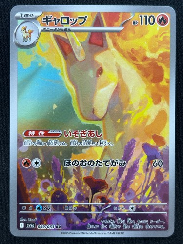 Rapidash 069 063 sv9a - 069/063,