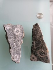 Minéraux de collection -