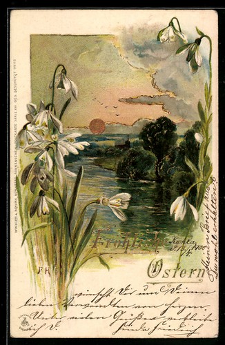 Carte postale perce neige - postale, perce-neige