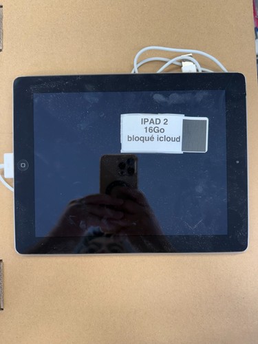 Apple ipad wi - 16, go