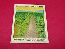 RARE CHROMO CHOCOLAT PUPIER