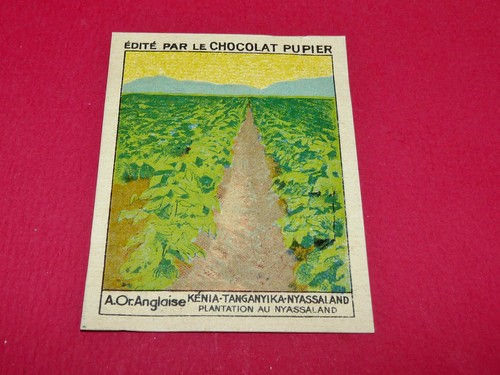 Rare chromo chocolat pupier - chocolat,