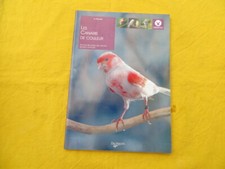 Les canaris de couleur - G. Ravazzi - 2008