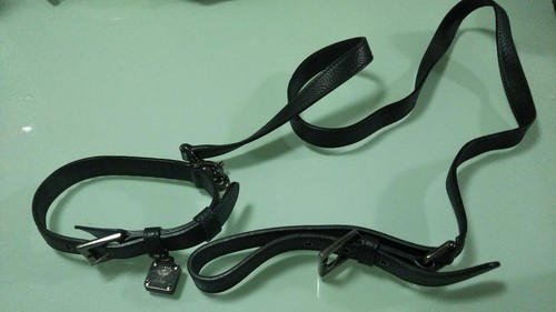 Ensemble collier laisse - et,