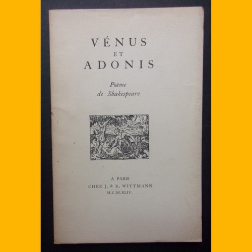 Vénus adonis exemplaire - adonis,