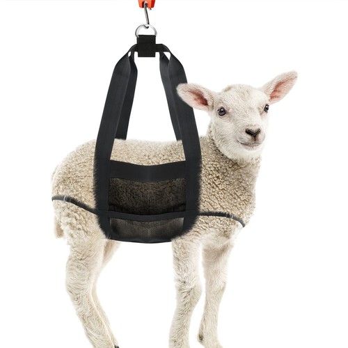 Harnais levage pour chien - levage,