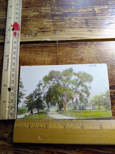 Postcard rural scene trees - scene,