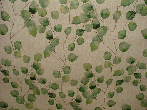 Eucalyptus arbre feuille lin - arbre,