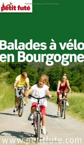 Guide petit futé - guide,