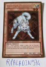 Yu-Gi-OH! Ryko le chasseur