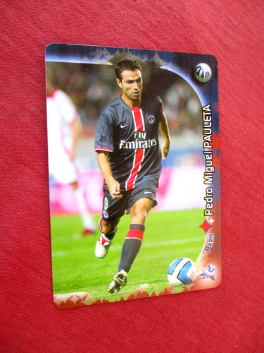 Pauleta psg paris - pauleta, saint