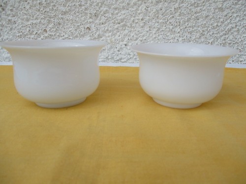 Deux bols rince - , doigts