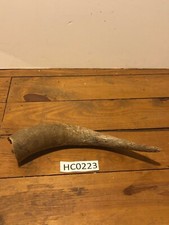 Hill Country Cow horn large