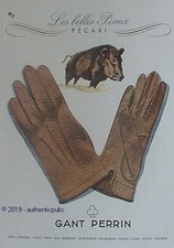 PUBLICITE GANT PERRIN LES PLUS BELLES PEAUX PECARI SANGLIER DE 1948 FRENCH AD 