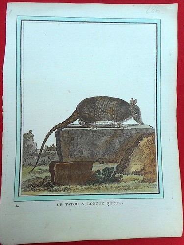 286 gravure xviiie histoire - 286,
