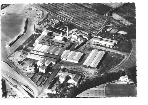 Collioure la cope del - 66,