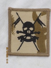 Queens Royal Lancers, Desert