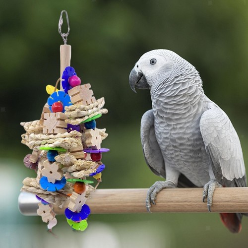 Oiseau bois perroquet - bois, à