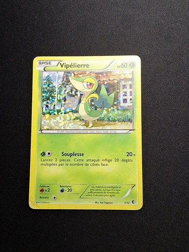 Holo vipélierre 12 - vipélierre, 1/12