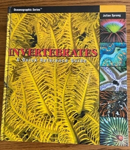 Invertebrates a quick - :,