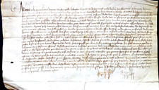 Parchemin Début XVI Velin