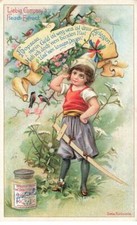 CHROMO #MK40535 S571 ENFANT AVEC EPEE EN BOIS OISEAUX LIEBIG