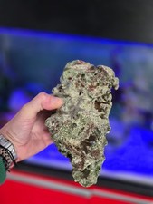 Pierres "Marco Rocks" ensemencées pour aquarium récifal - 17Kg de pierres